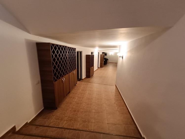 Casă individuală cu 10 camere cu Piscina în Vișani