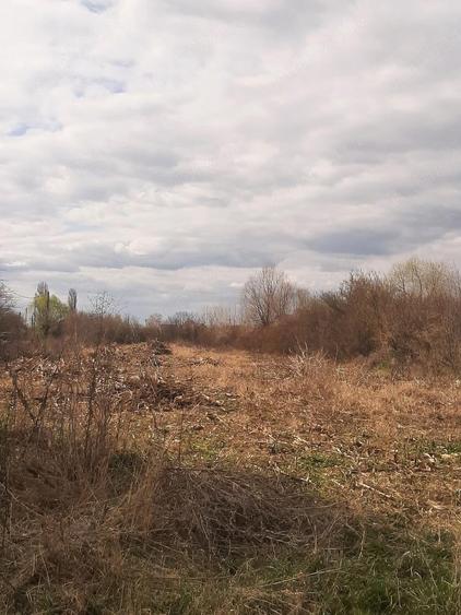 Teren de 2000 mp, în Sânnicolau Român
