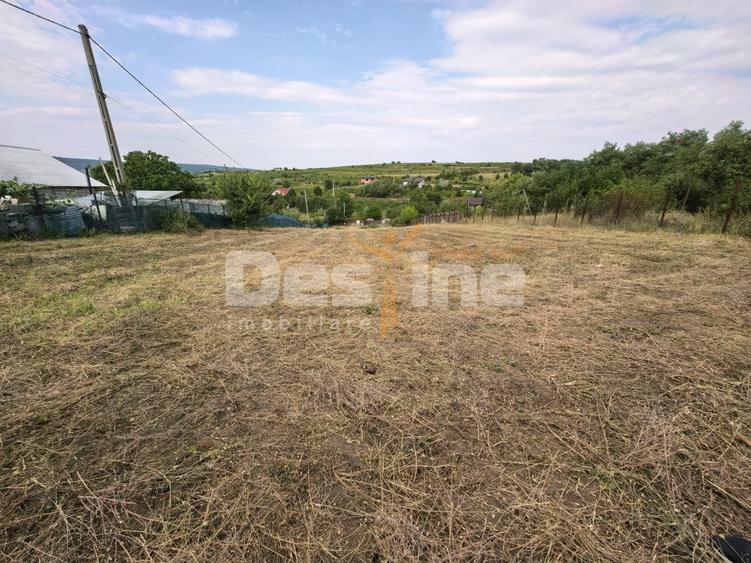 Teren Construcții intravilan de 3000 mp, în Chicerea