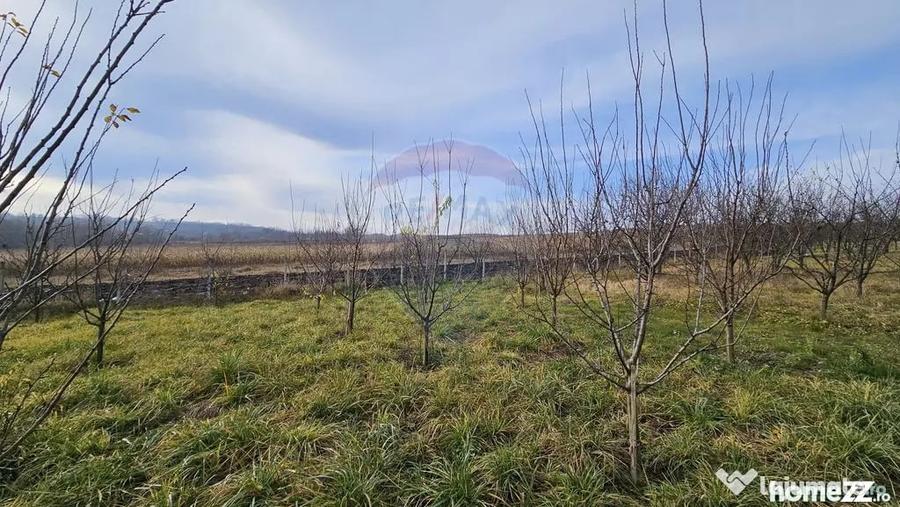Teren de 10791 mp, în Fălticeni