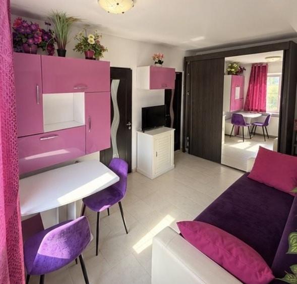 Apartament cu 2 camere în Milcov