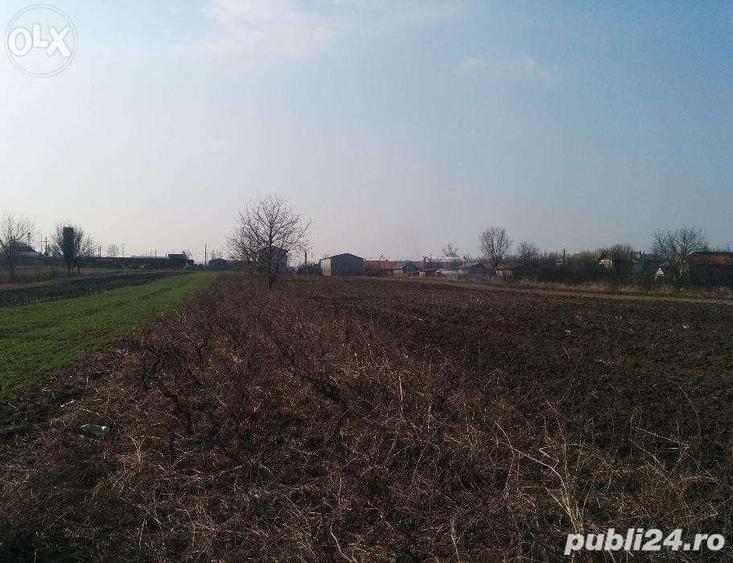 Teren DN5 Giurgiu Remus 2175mp, deschidere 20ml, Str. Poligonului - 4