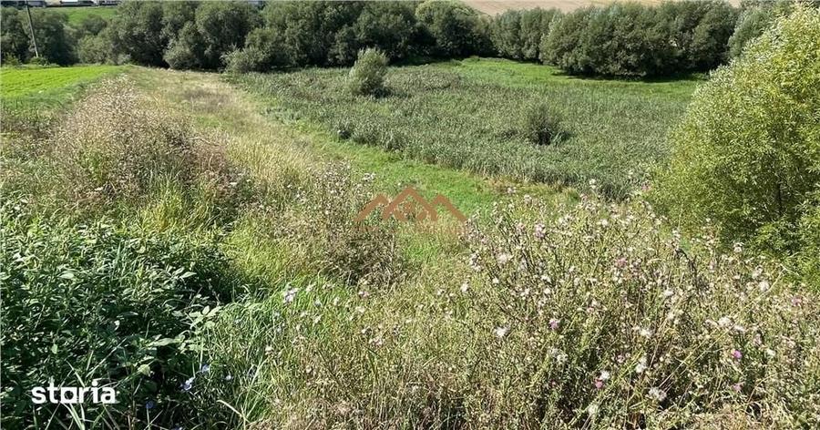 Teren de 8000 mp, în Moara
