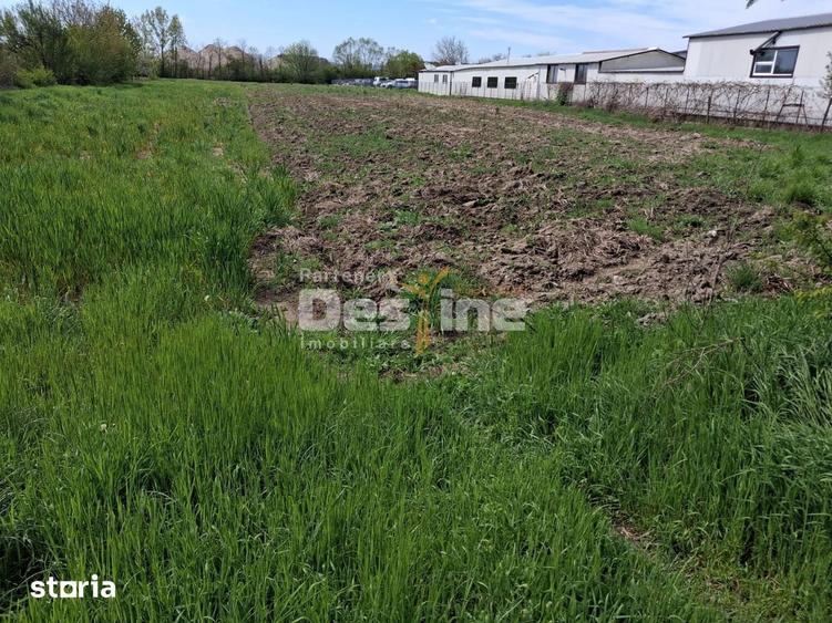 Teren intravilan excelent pentru investitie/comercial in Mihaesti - 5
