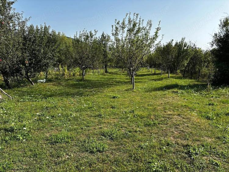 Vand tere extravilan in zona munte Corbisori Arges - 5