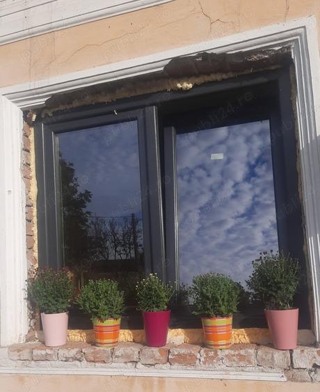 Casă cu 3 camere cu Teren 1750 Mp în Vișina