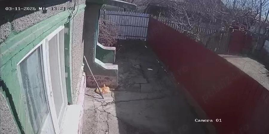 Vand casa sau schimb cu apartament Braila - 1