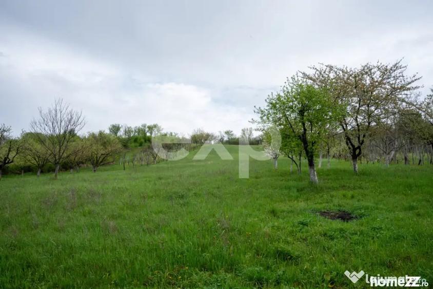 Casă cu 4 camere cu Teren 6436 Mp în Central