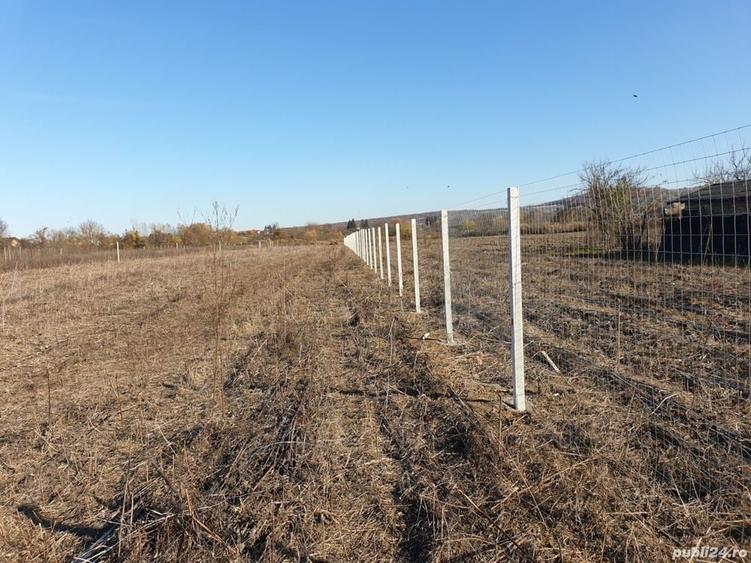 Teren de 8071 mp, în Lipănești