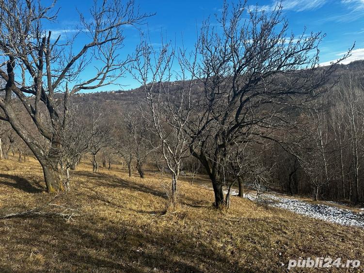 Teren de 8040 mp, în Mățău