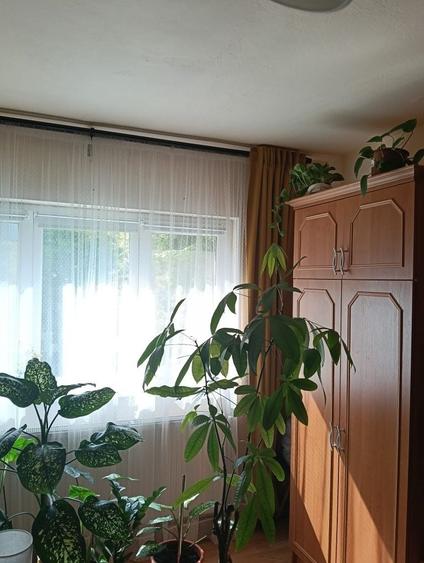 Apartament cu 2 camere decomandat în 6 Vânători