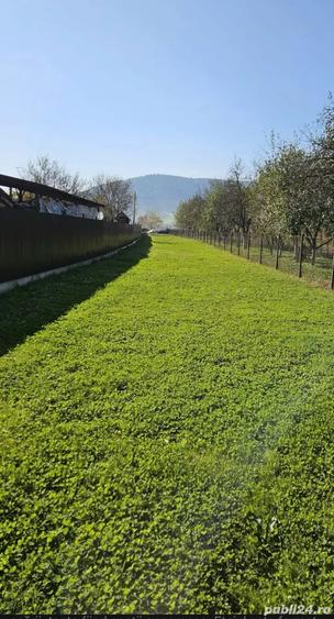 Casă cu 6 camere în Central