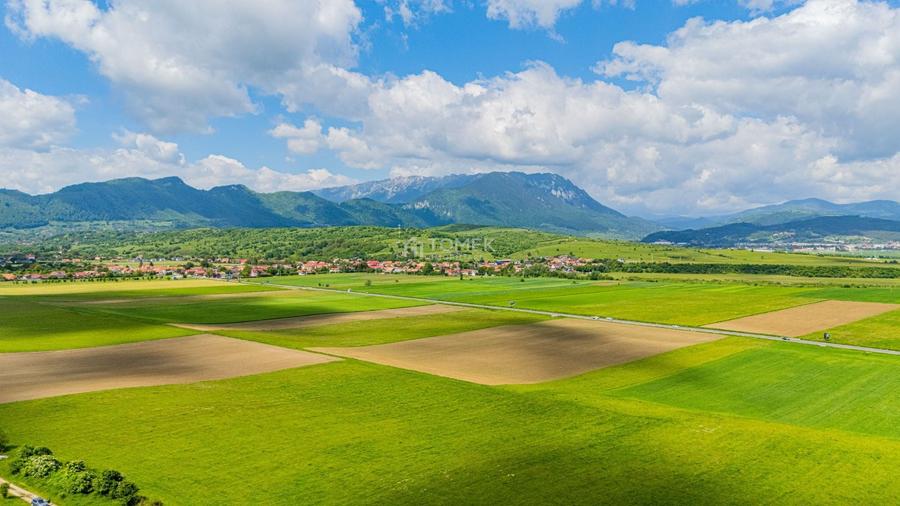 Teren agricol extravilan de 5800 mp, în Tohanu Nou