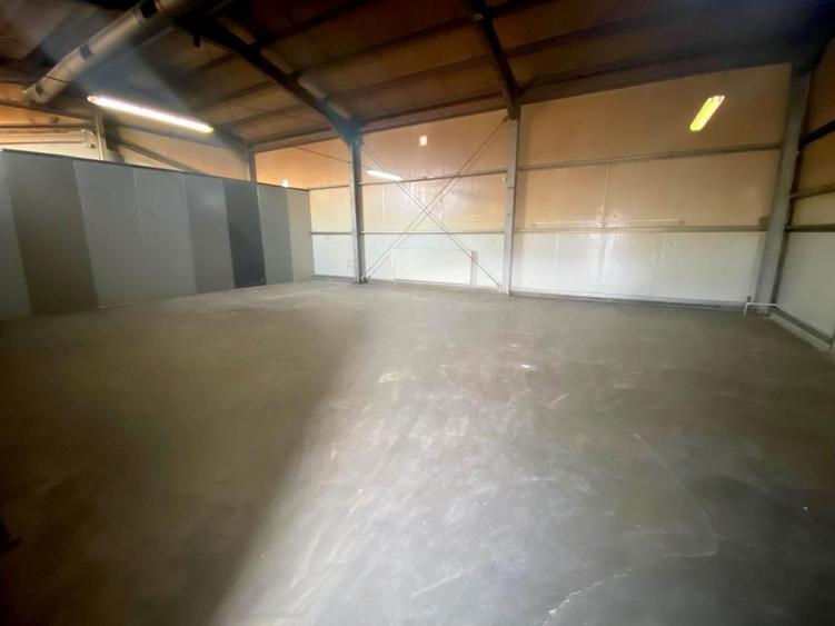 Spațiu industrial, de 132 mp, în Săcălaz