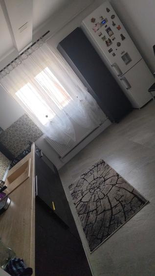 Apartament cu 2 camere decomandat în Craiovița Nouă