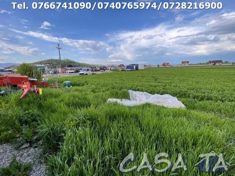 Teren Construcții intravilan de 3404 mp, în Bălești