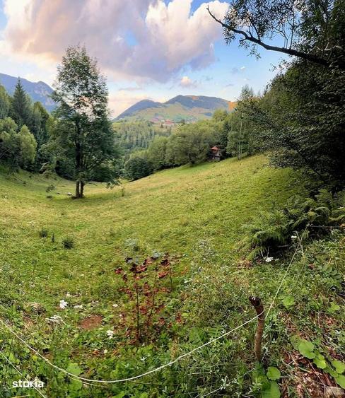 Teren investitie 8635 mp extravilan , Pestera Brasov - 3