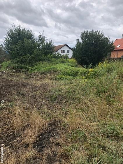 Teren în Stupini