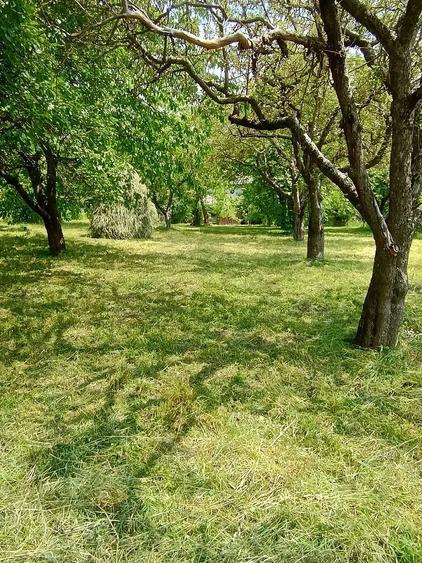 Teren de 1223 mp, în Central
