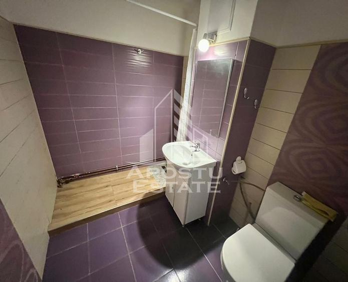 Apartament cu 2 camere decomandat în Lipovei