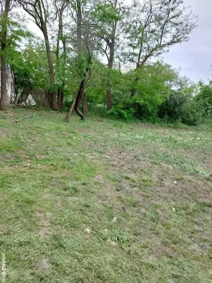 Casă cu 5 camere cu Teren 4000 Mp în Smârdan