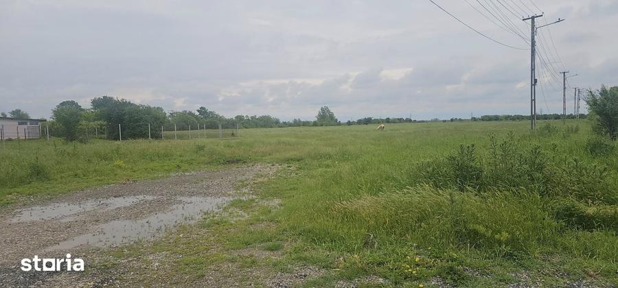Teren de 47000 mp, în Răcari