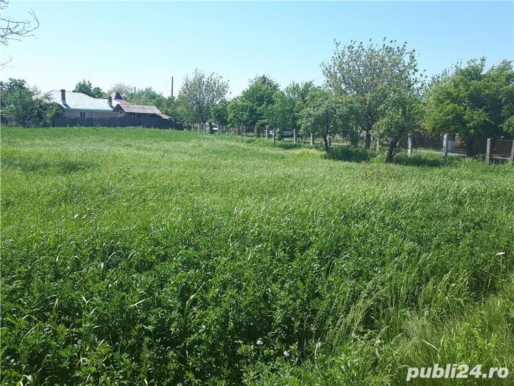 Teren de 2000 mp, în Vedea