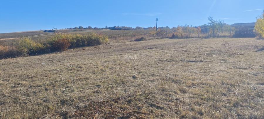Teren 1.500 mp Fanatele Clujului (3 parcele + drum)extravilan, panorama