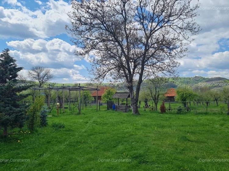 Casă cu Teren 20855 Mp în Albești