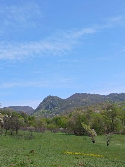 Casa la munte cu parau in curte,in localitatea Nojag.la 18 km.de DEVA - 6