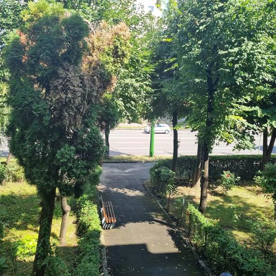Vand apartament 3 camere semidecomandat etaj 1 zona Alexandru Vlahuta. - 5