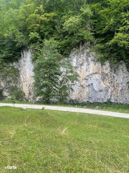 Teren Investitie Turistica Dambovicioara Baranga | 4.500 mp - 12