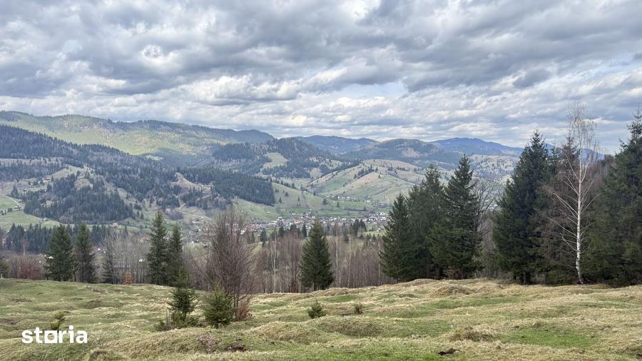 Teren de 10270 mp, în Sadova