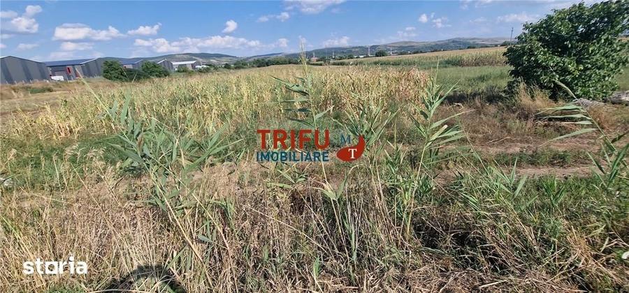 Teren de 5756 mp, în Industrială