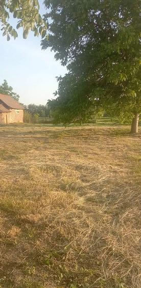 Teren de 6650 mp, în Ciocaia