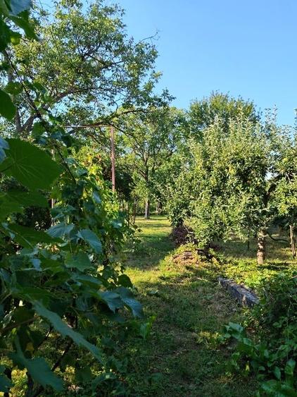 Casă individuală cu 5 camere cu Canalizare în Careiului