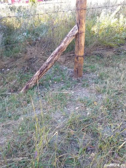 Teren de 350 mp, în Cheia