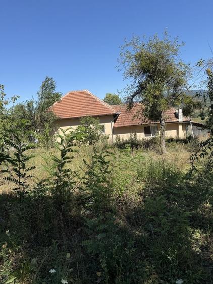 Spațiu comercial, în Neagra