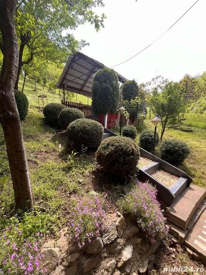 Casă cu 4 camere cu Teren 1500 Mp în Dobra