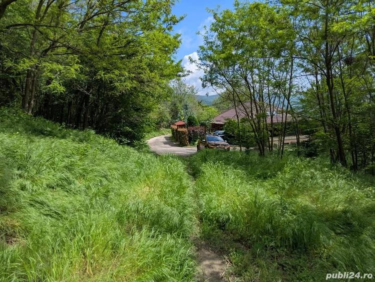Teren de 3057 mp, în Bujoreni