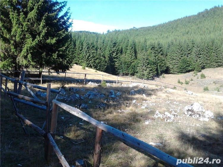 Teren de 1000 mp, în Curtea de Argeș
