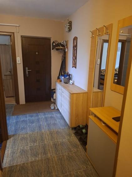 Apartament cu 3 camere decomandat, mobilat în Craiovița Nouă