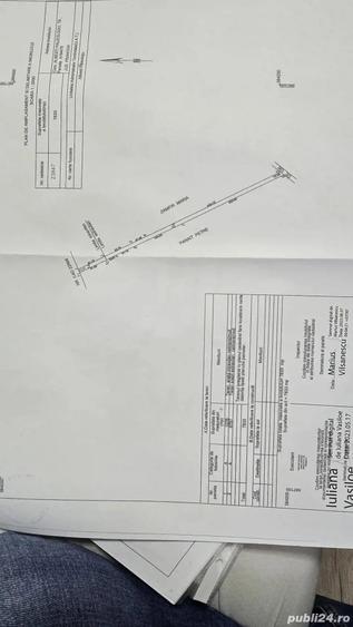 Teren în Albești-Paleologu