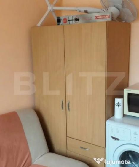 Garsonieră, mobilată în Rogerius