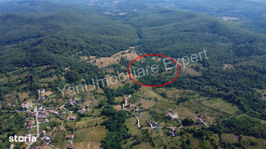 Teren de vanzare in comuna Baicule?ti, jude? Arge?. - 1