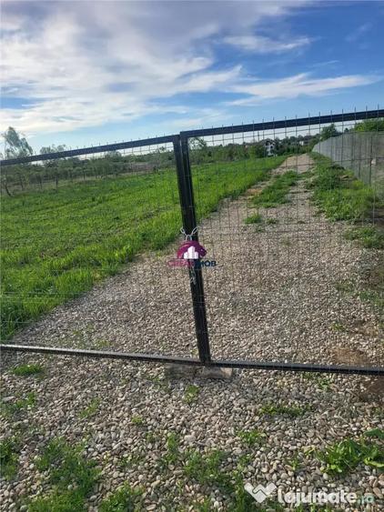 Casă cu Teren 5600 Mp în Ciofliceni
