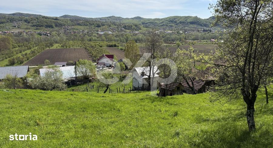 Teren de 14613 mp, în Tigveni