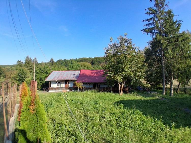 Casă cu 3 camere în Gura Vadului