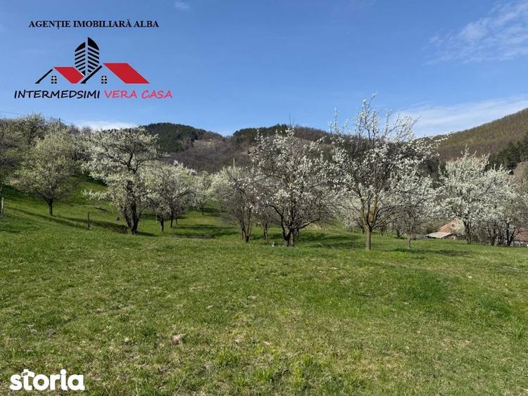 Teren de 13698 mp, în Vințu de Jos