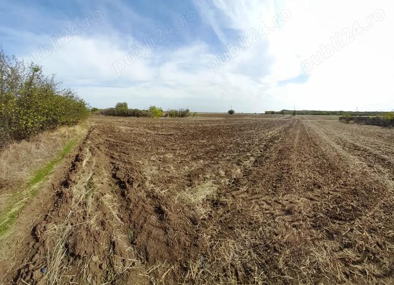 Teren de 1000 mp, în Valea Plopilor